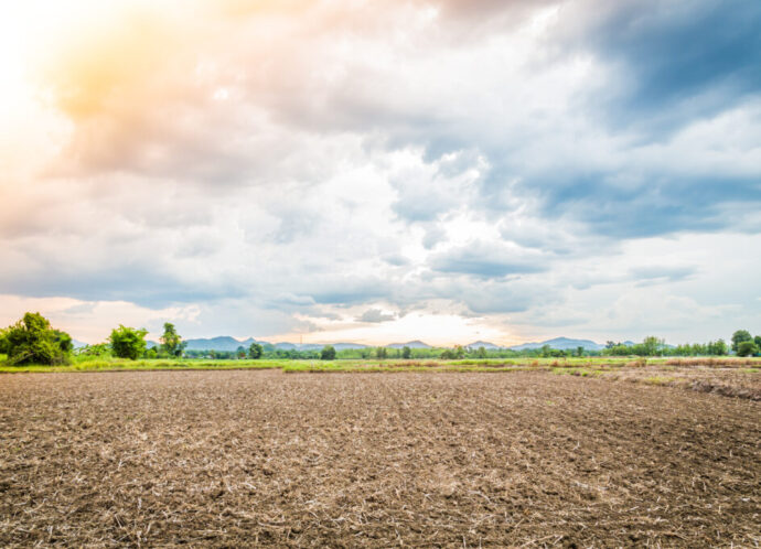 Ploughed field ( Filtered image processed vintage effect. ) Ploughed field ( Filtered image processed vintage effect. )